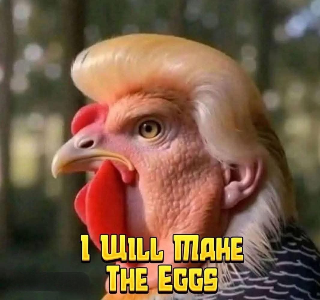 e224ce39-7937-46ba-9e8c-33c0f538cc3c