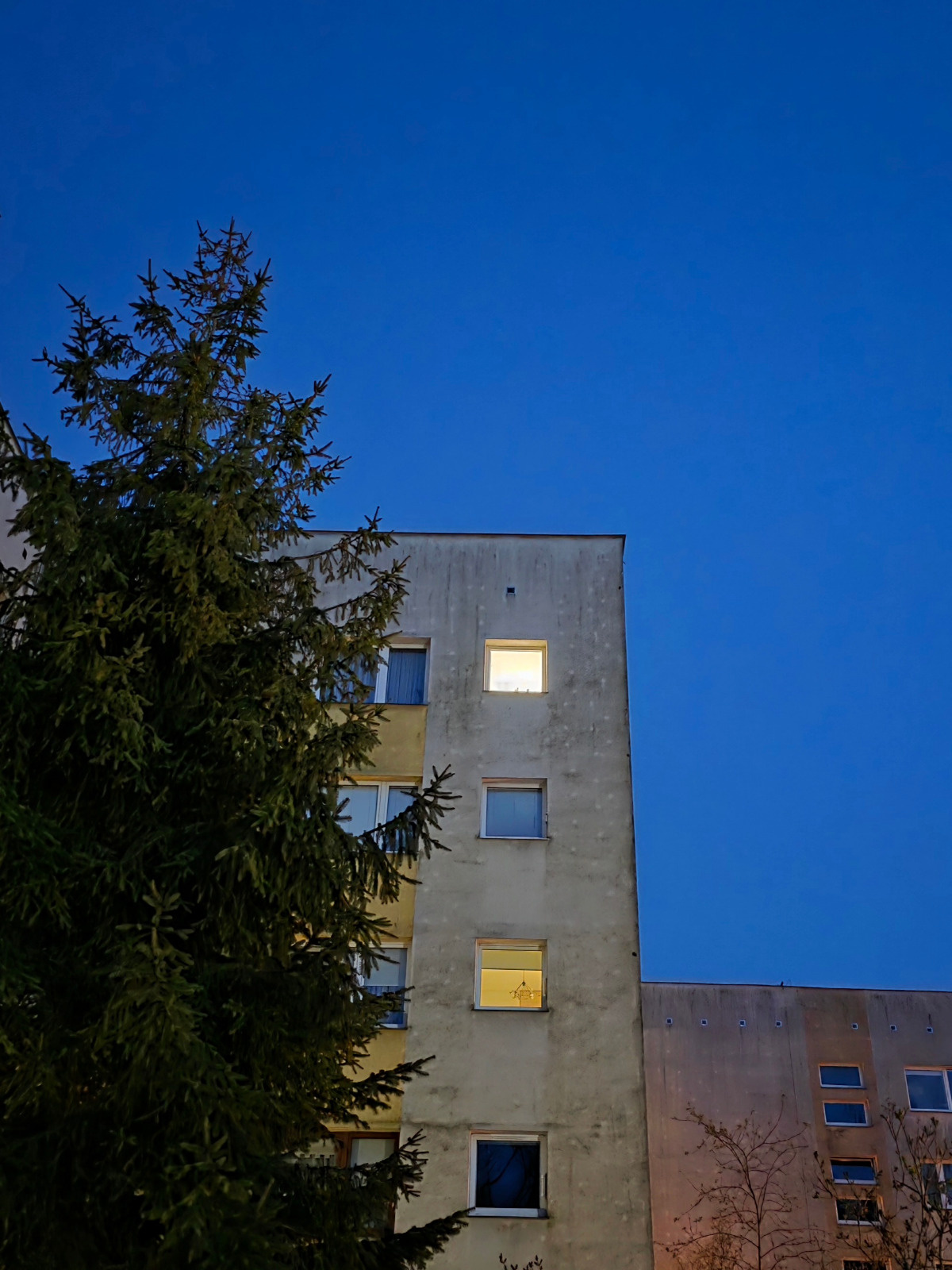 9a69b1bb-2754-4171-9885-d810c714d465