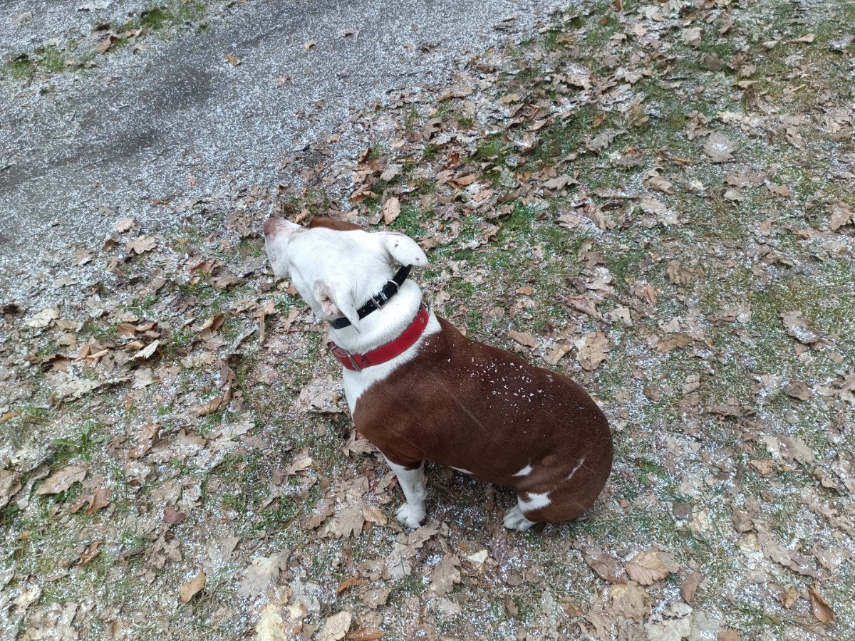 1705dd8e-635d-4830-9b7c-366adfaa27b7