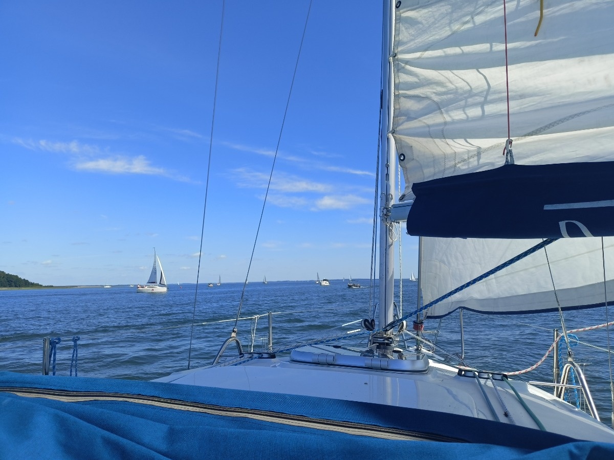 3fb6903f-8dc7-4597-baac-4f770a1614b8