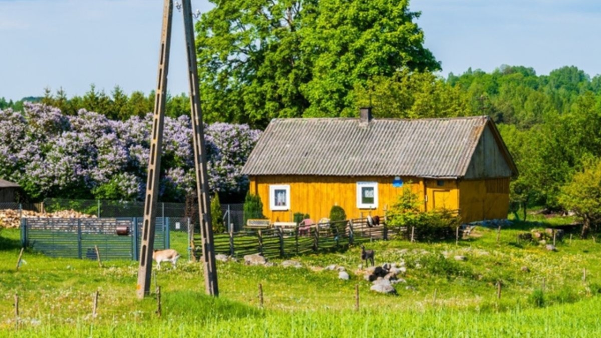 Polskie województwo dopłaci do wakacji. Każdy ma szansę na "bon na telefon"