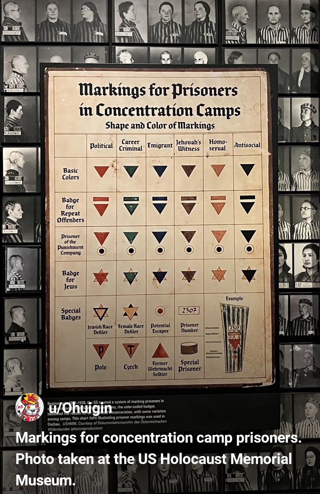 0d081e2c-fc5a-4ae8-a85d-ec29ca2a2cd3