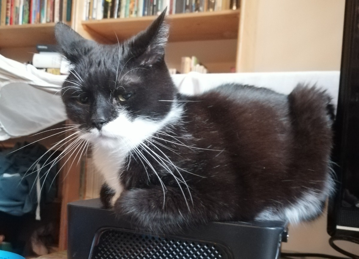 760edb59-ebe4-47ee-8b51-f8a57b3e7e4e