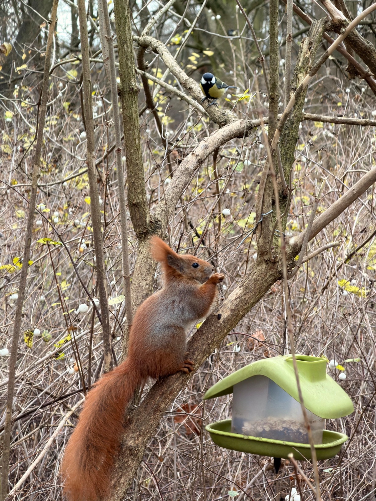 2755fff4-d573-4d8e-9fd1-a05323da1087