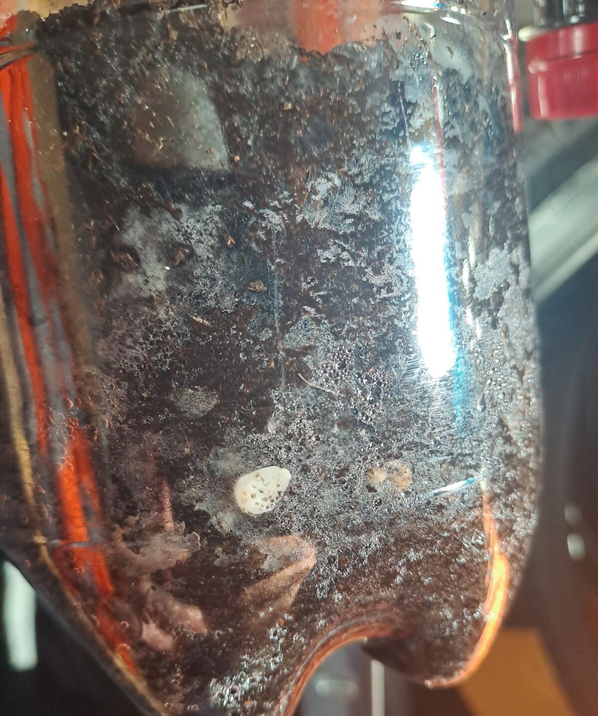 eea9a2ba-6997-4c85-a774-59cf8cf13e70