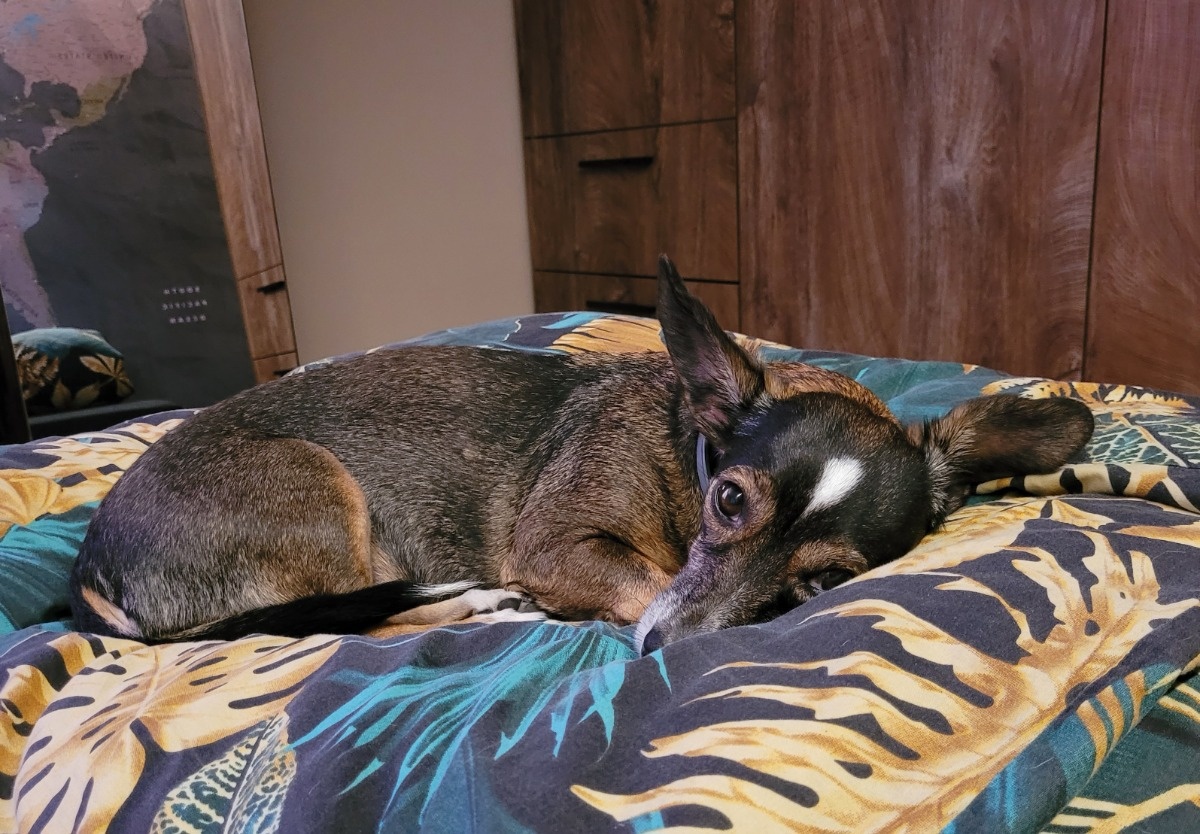 c004b841-1e66-4280-b9b7-7b4eda55d634