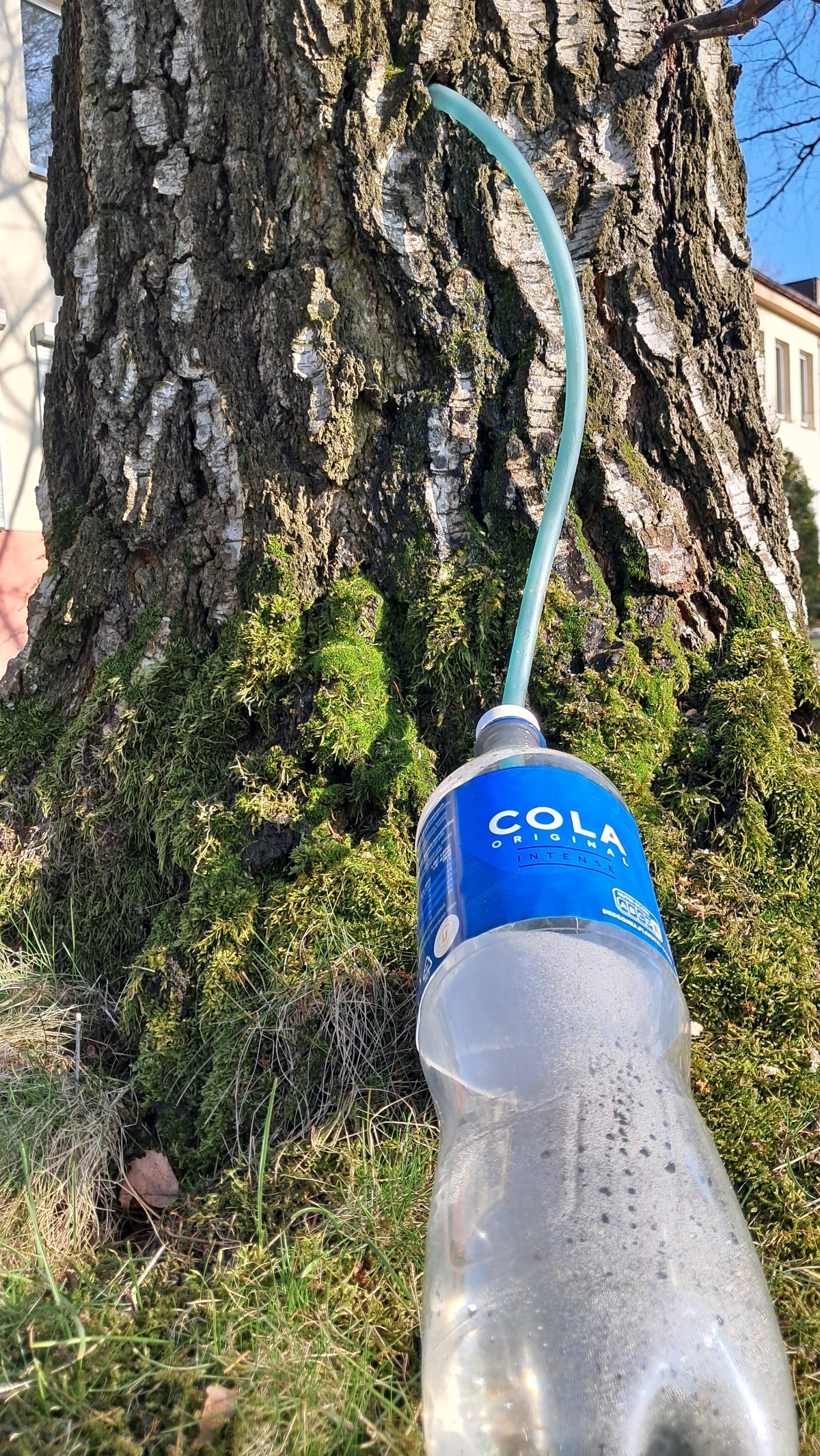 0d8c4df1-5bca-43ac-90d7-a431e095e7d9