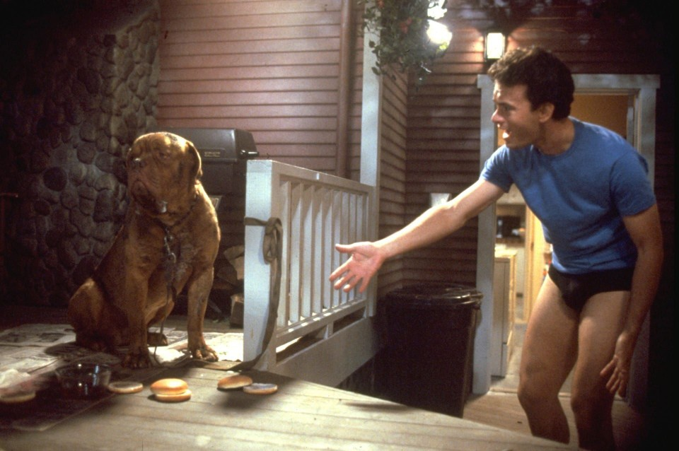 4dda6c40-9630-4b0e-ba3d-aeb202ab9786