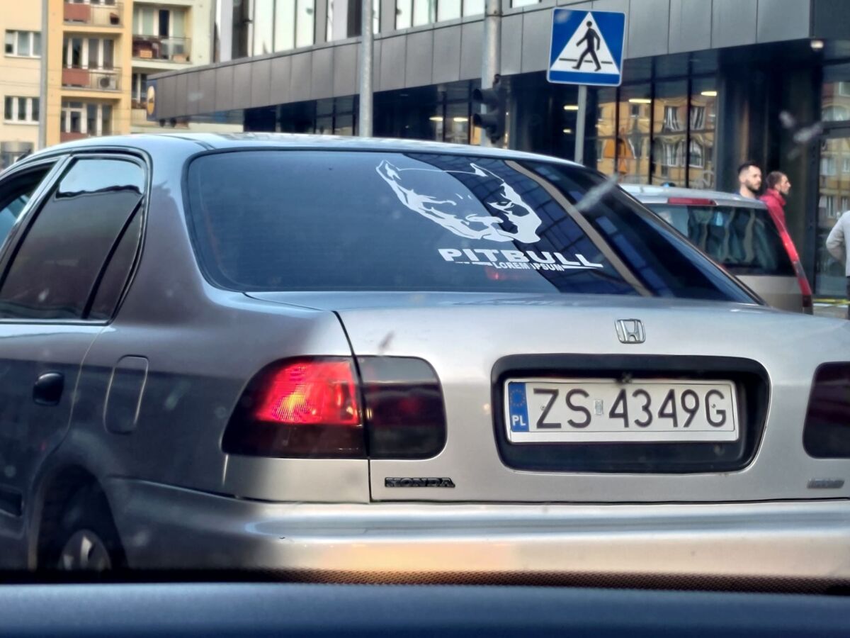 24128679-8421-410f-a3c4-6229bdebab2c