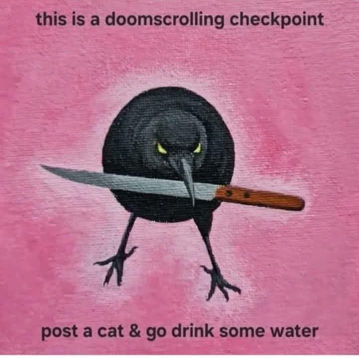 4fdd8c5d-8473-41ef-94e3-60ac6eaf8d3c