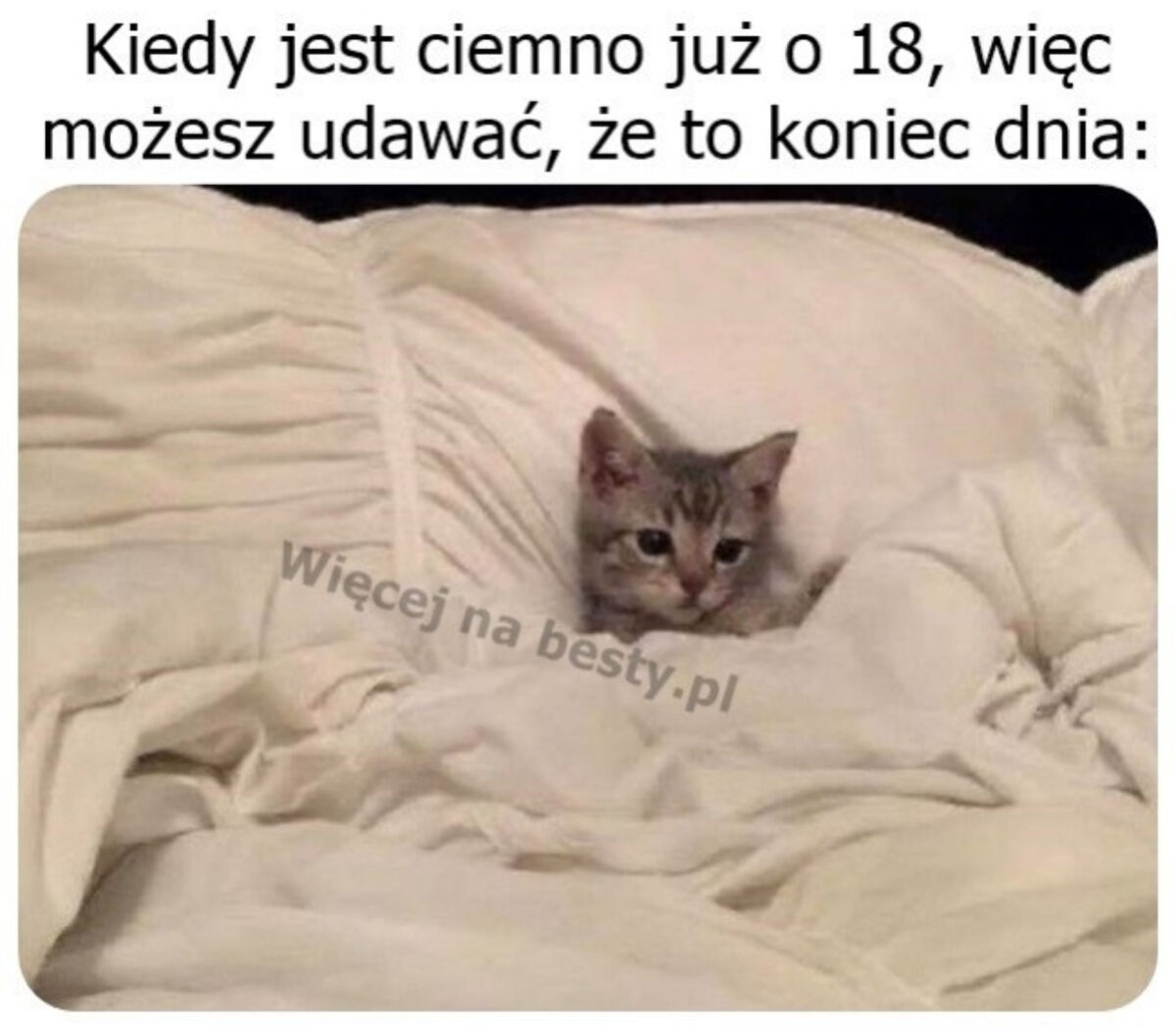 b20b697a-40d1-4f78-9596-5b3706672868