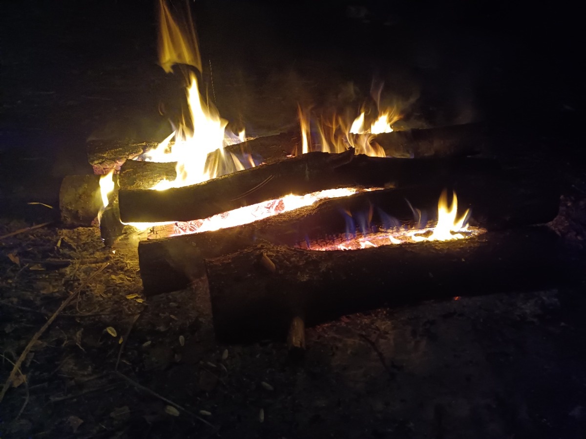 a8e68f31-a1c3-44c6-a101-91521cf9c8c1