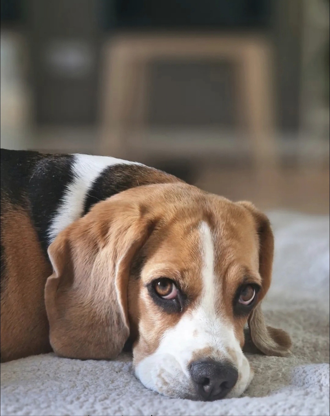 c17b87e2-f669-49b6-b3b4-4598a5921771