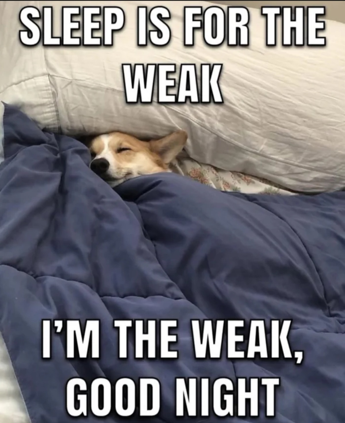 d495d553-901b-457a-ac1f-1455befd29f0