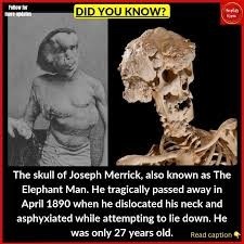 17d8c869-bca1-45b5-8750-a806857e51e9