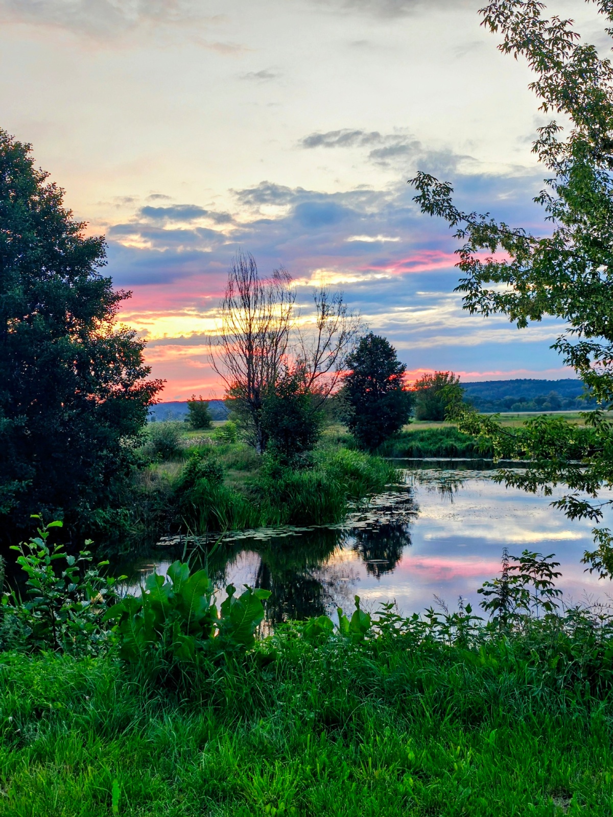 31539927-6bdb-42e9-a23e-5fc7930d9020