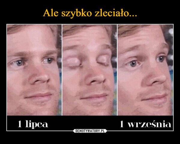 e7678d15-a6a5-443e-b702-24685a13f2d6