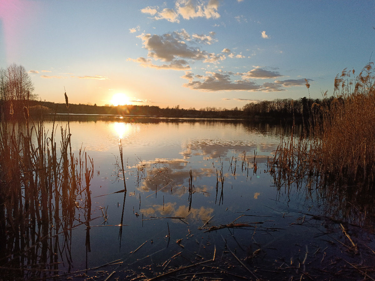 f7a06791-f198-4bae-8ad4-a74f1ce8fd87