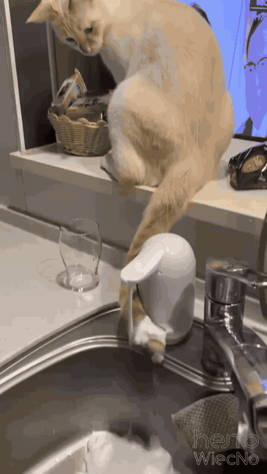 f680e474-4fdc-4aad-b8f7-45c35d323377