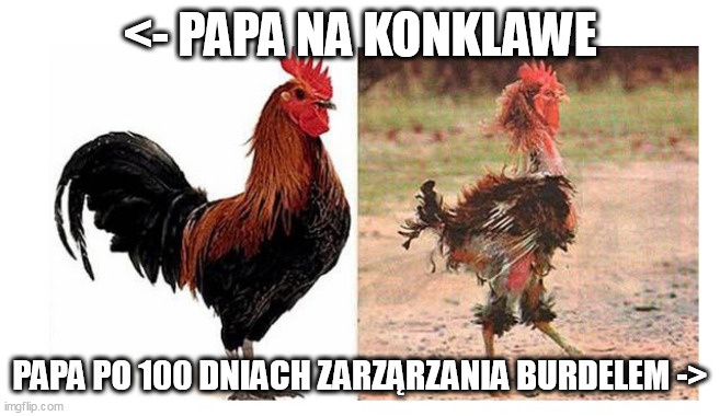 7c8c42a4-911d-4718-9a08-5be1e57cec0e