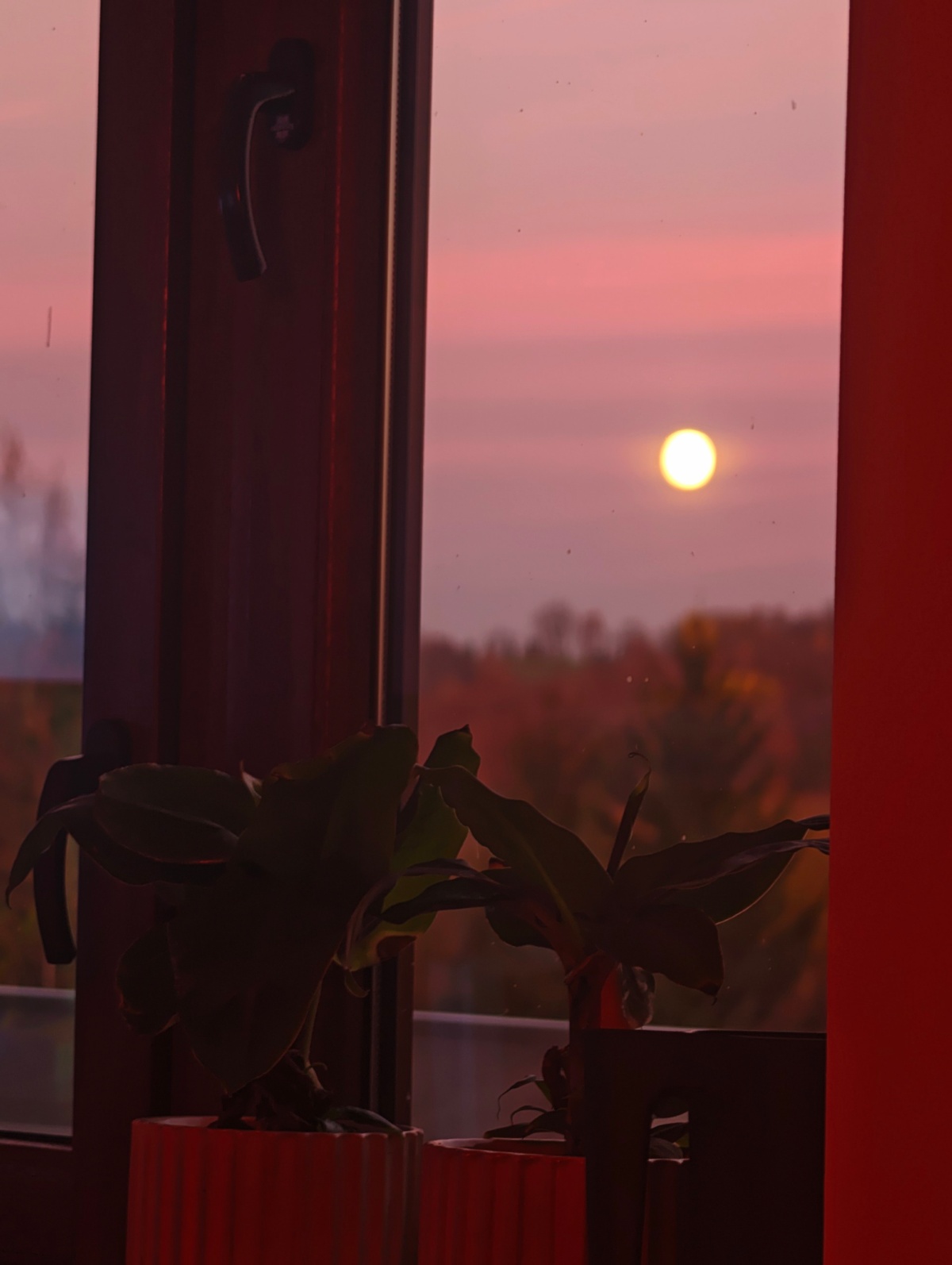 e8ca9f48-d808-4a44-9e23-e7ec289947f3