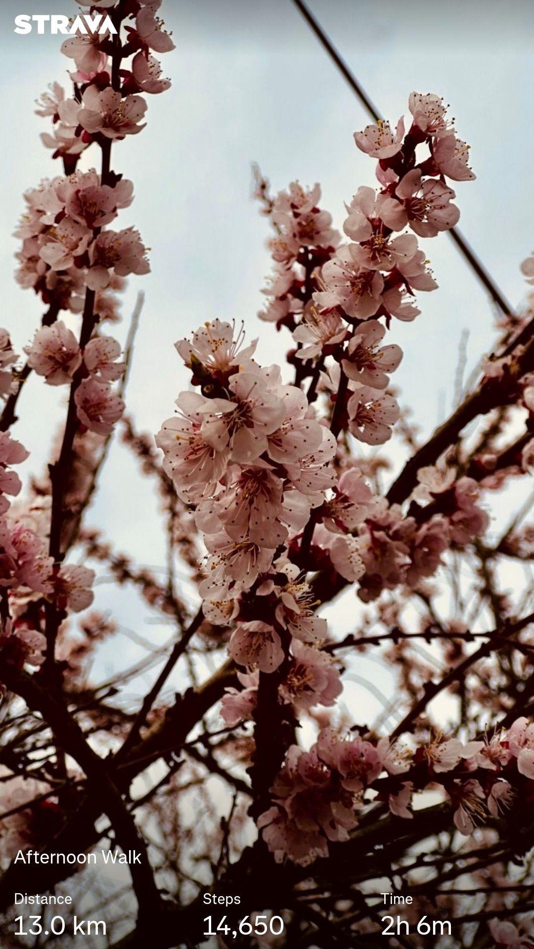 e2d7a124-f485-407c-a6c8-00895ea0c029