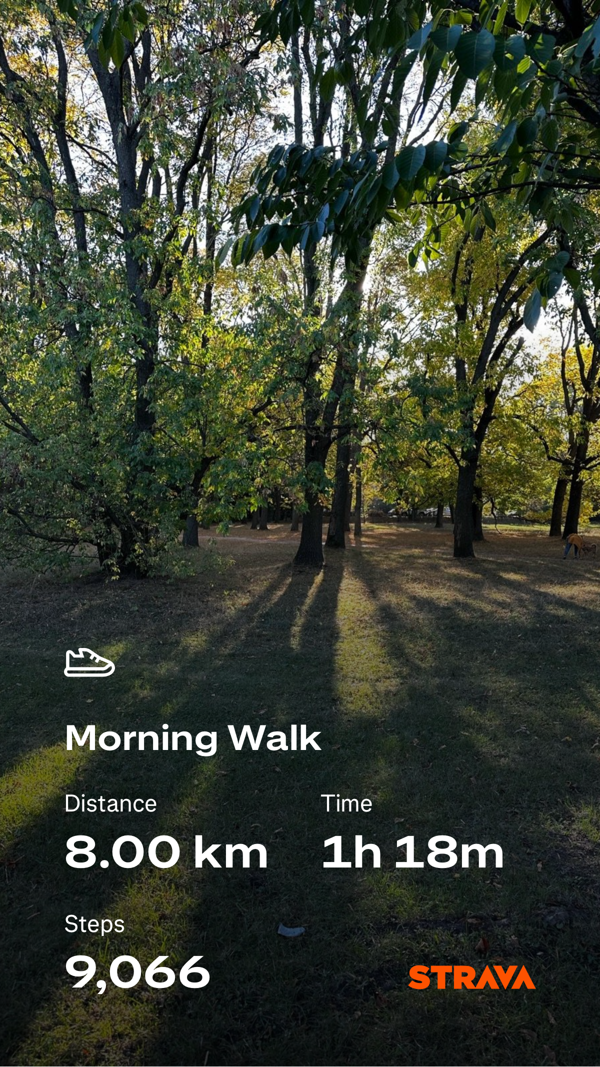 69ec1eb8-3910-4566-a71c-f25d91db7b65