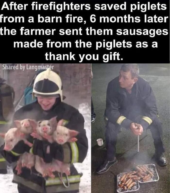 9c0a7835-0dd7-47d5-90a9-3eb10ae6a83d