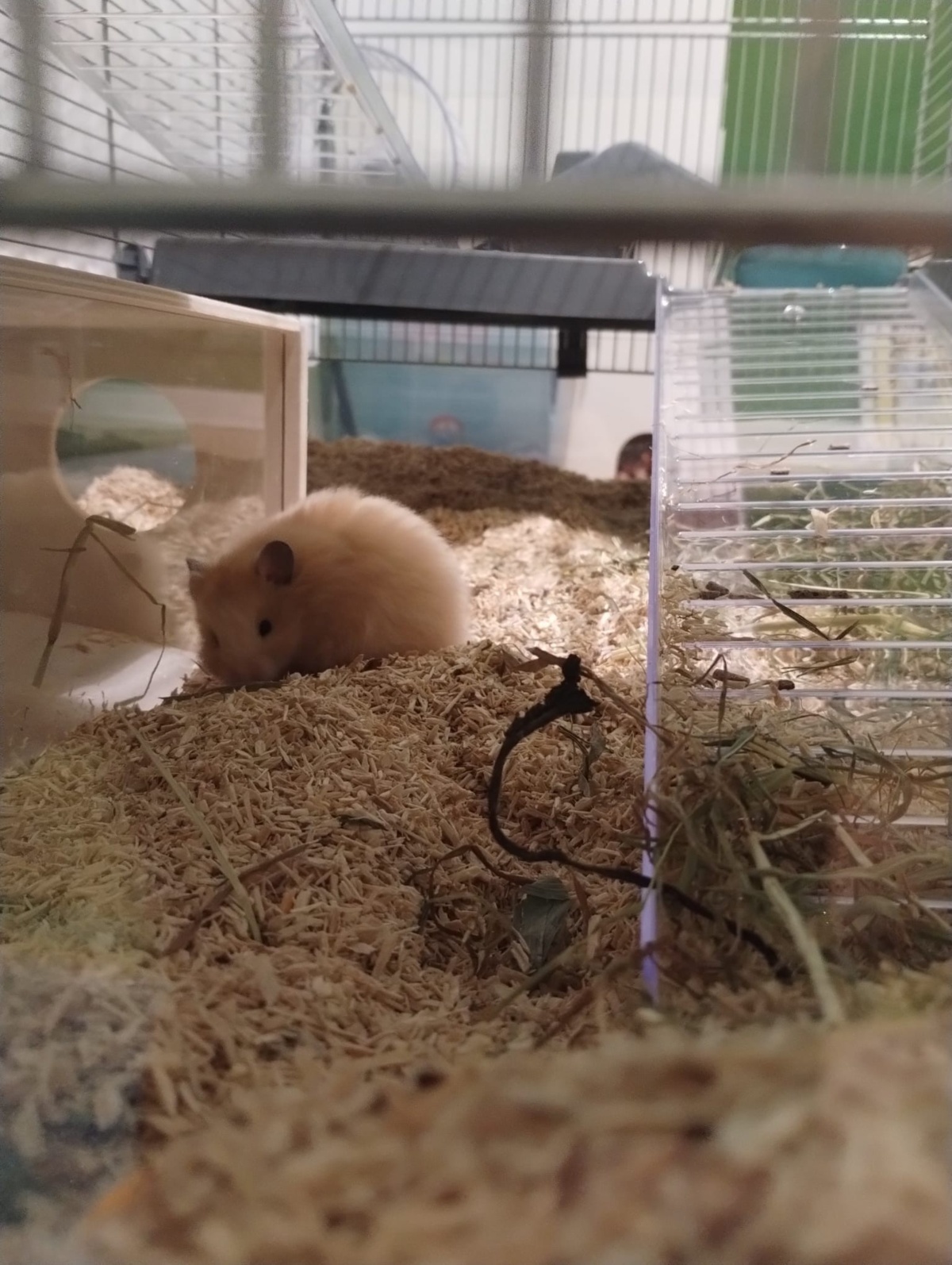 130bddea-db5f-46aa-97f0-7160711e8001