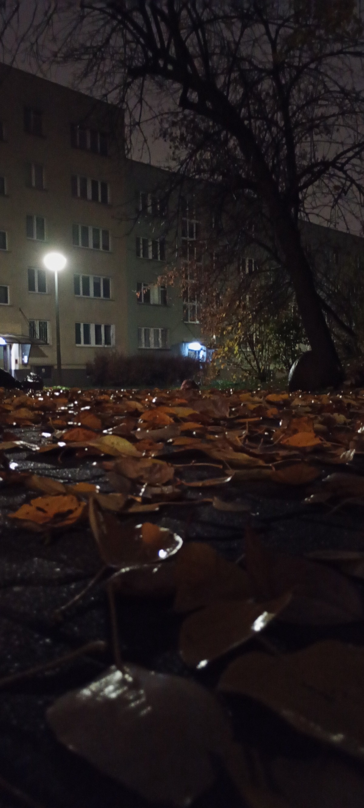 64ac189c-73e6-4860-814f-8be34b805b97