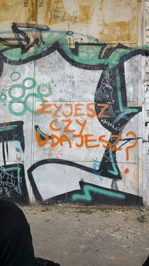 749db2a3-399d-48ea-8afe-f0b0e2dd3444