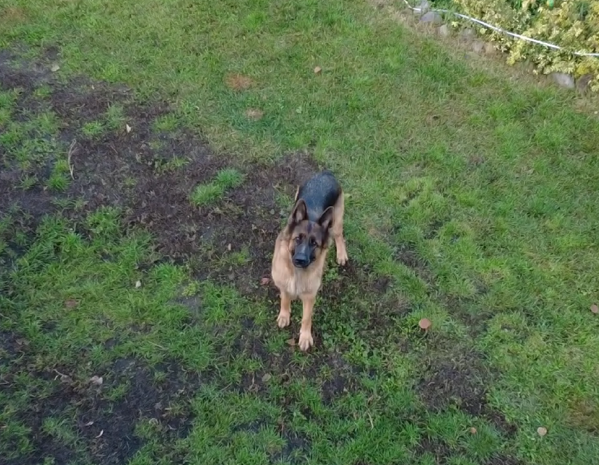 7718307f-0743-40b9-ad6b-6bbaa968e7c3