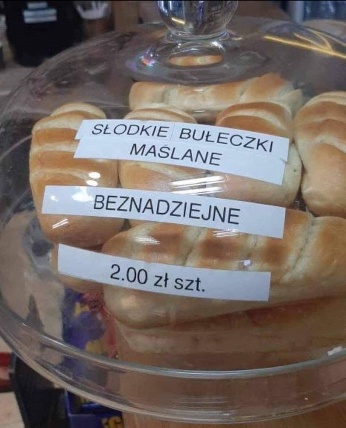 7a310fc0-7d0d-4b6c-b8e5-ab85fb23f585