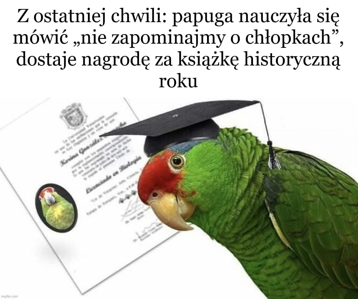 72ed9472-970e-4b9a-8aad-de4497f07364