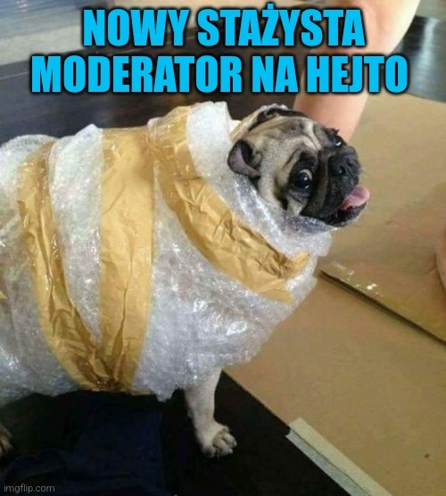 6d335c13-28c3-4425-9875-1aa486c61e94