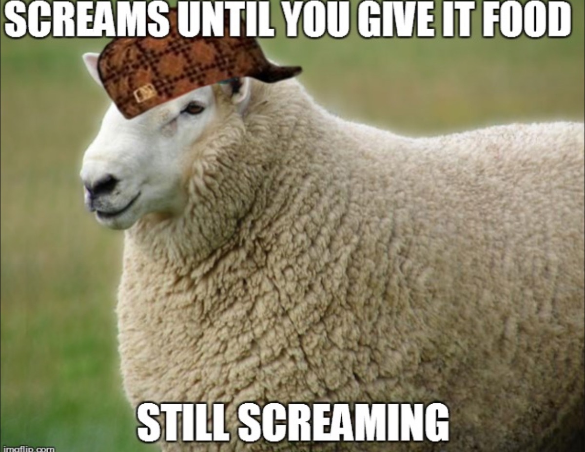 78ac0d20-4efe-4f11-a9ba-219726d31911