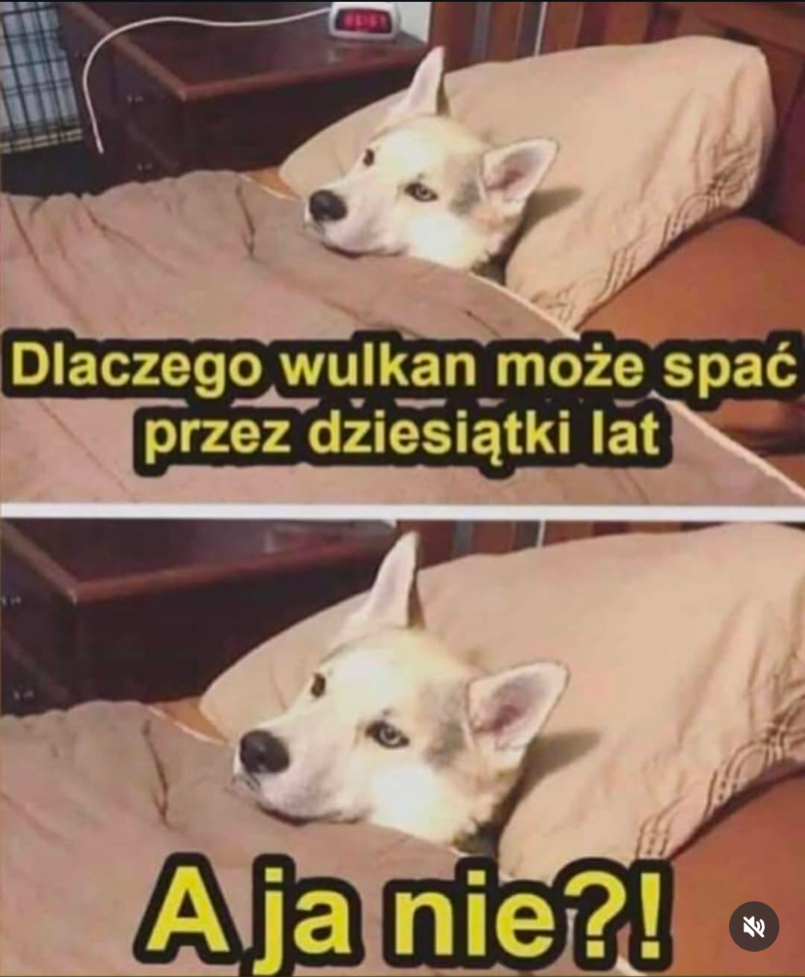 5d5d9491-a661-4330-b60f-bbde3ed85ada