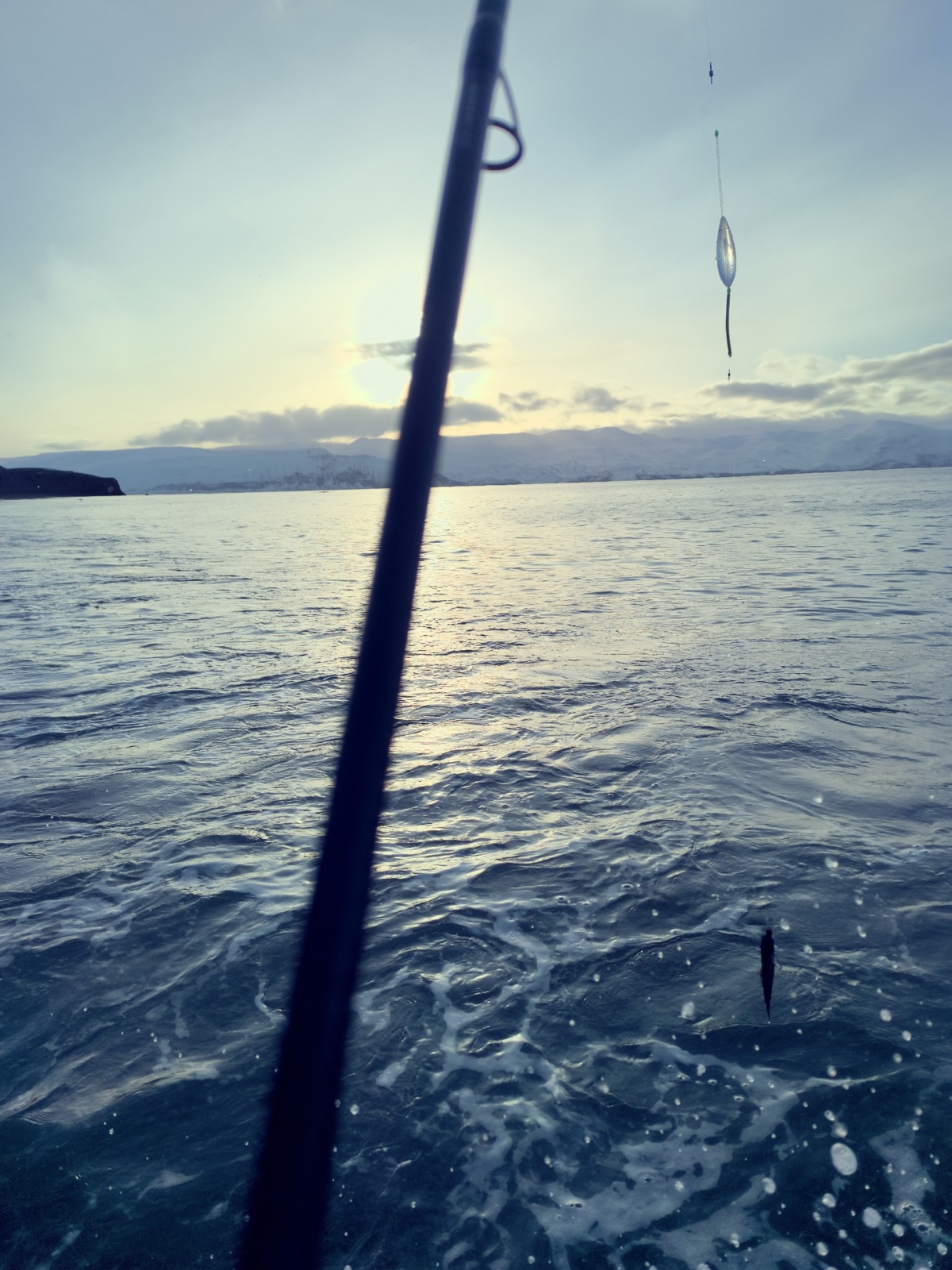 e5a1c8e5-4e5b-4c48-b7c2-c0dcb5e39a9f