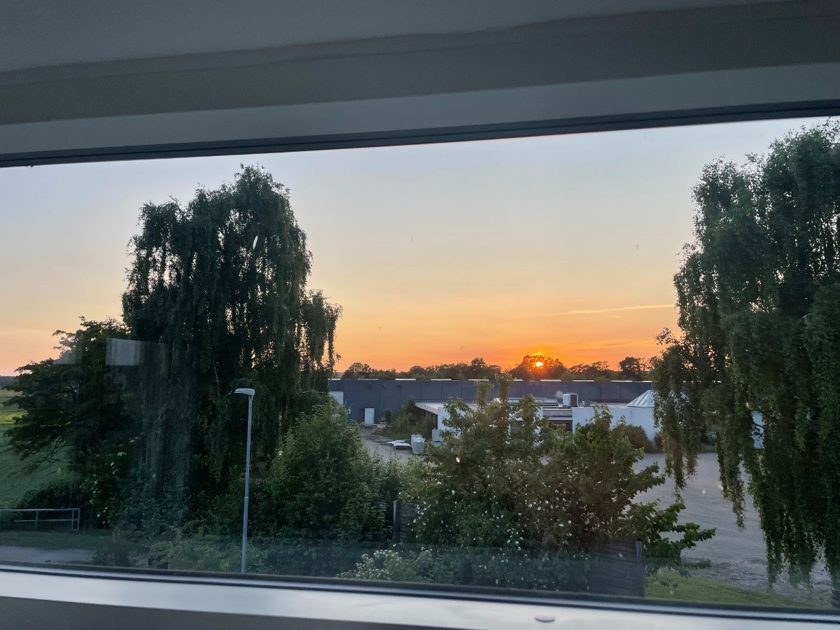 d0f872a1-531d-4351-968d-107553c7a7bb