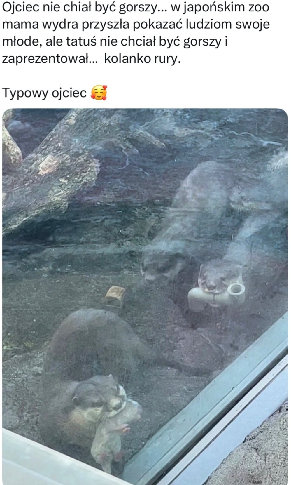 1405f128-4cc5-4e71-91f9-5af77d08a2f9