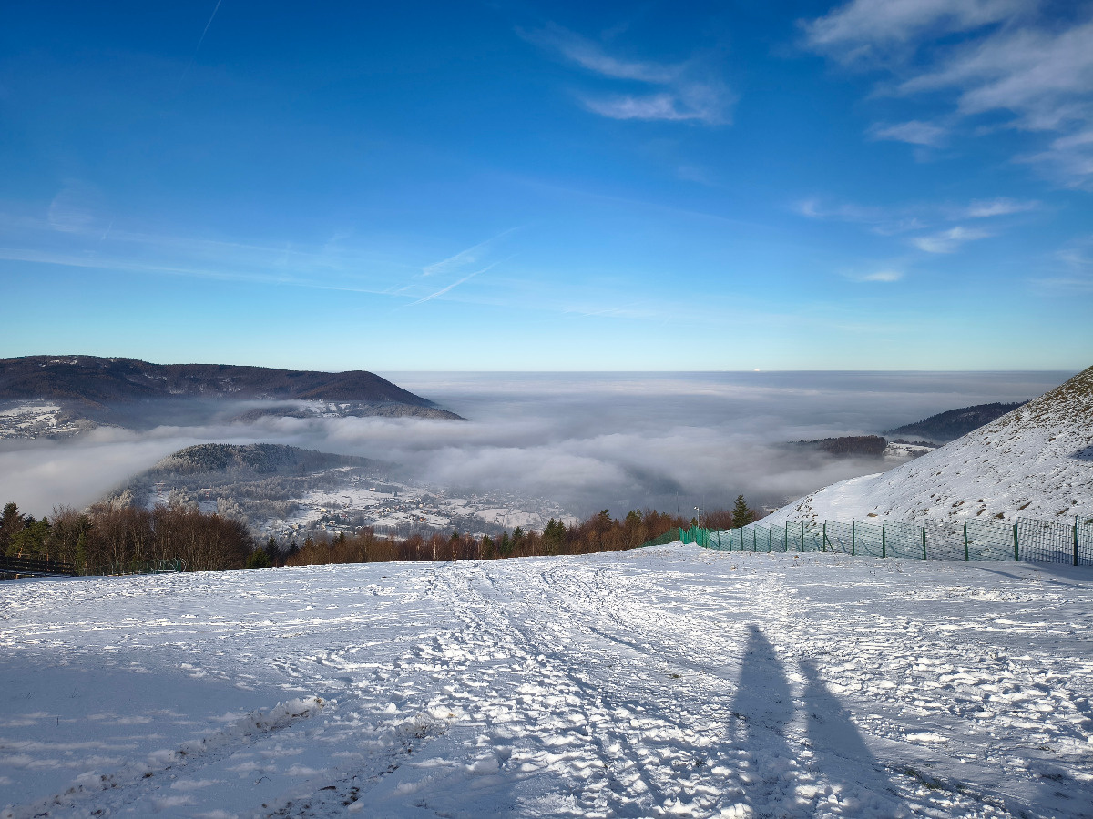 d89da2fc-ea45-46a1-9332-2d80c0949495