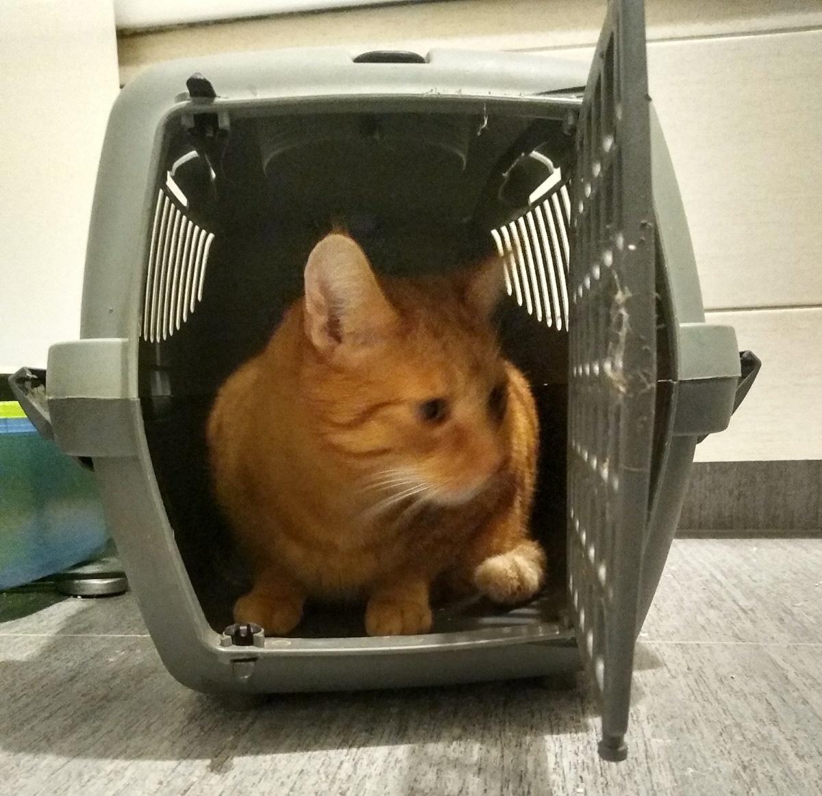 760267fe-22e5-47ee-aa58-474b7620c46a