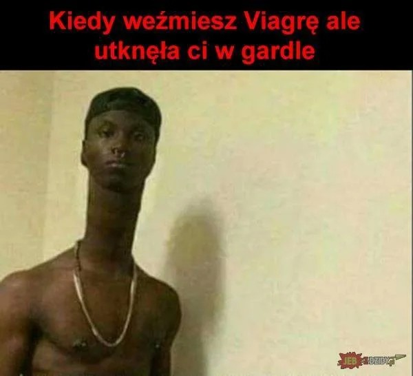 ecffd303-be22-423f-bd6e-9168735c00fc