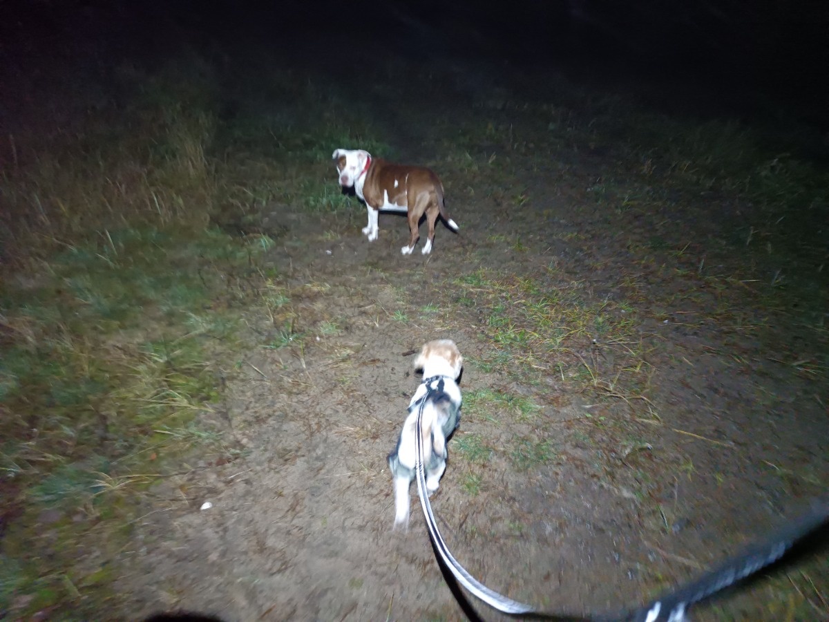 2e04a820-cebe-4f2a-8294-0a9b5b9557eb