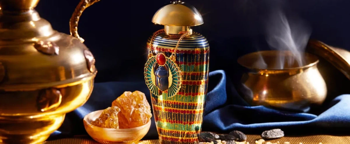 65cfc81c-13f4-4767-afc5-99c2bd662f07