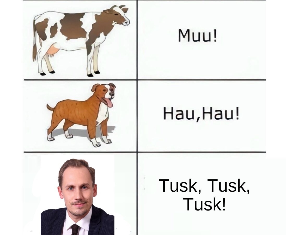 8c7708ff-cd48-4ea9-a77b-744a077a0b52