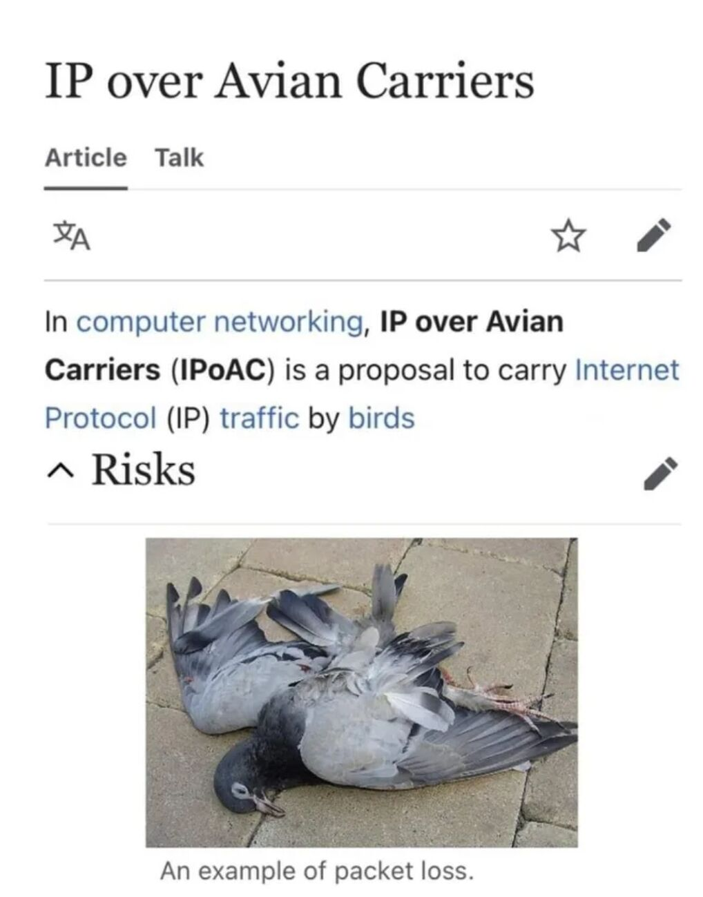 0dc2b48a-d74d-45bb-8803-02cfb201e434