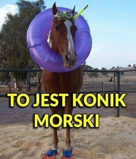 a2ee2afd-45f2-438f-a91a-1c4f05bcc53e