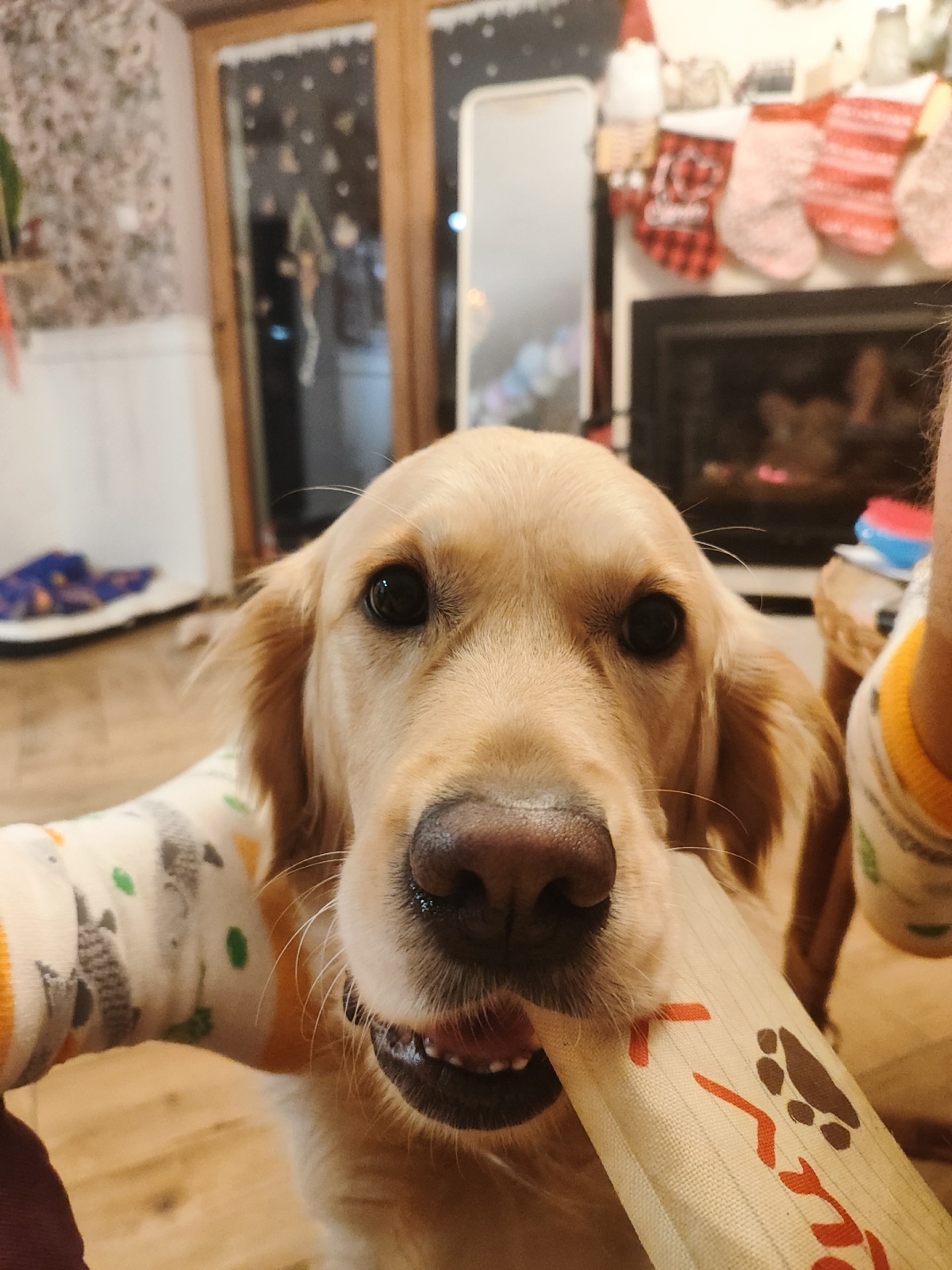 708d6f1a-932a-42b1-85b2-1c93d72e4750