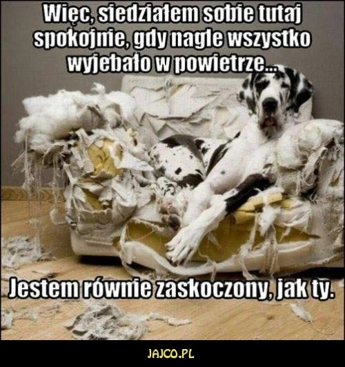 a0c0b932-bc16-47a5-9b62-e3ebc910462d